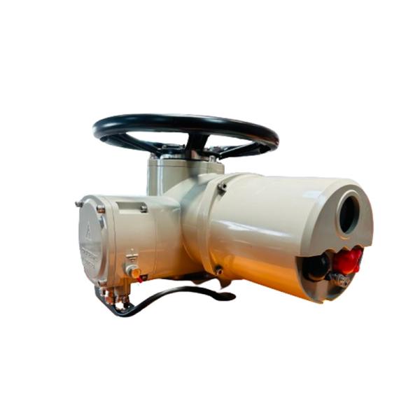 Quality 0.75 KW Electric Multi Turn Actuator Intelligent Explosion Proof 300NM IP67 for sale
