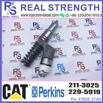 China 2113025 Caterpillar Fuel Injector 211-3025 229-5919 C18 C15 Diesel Engine Parts for sale