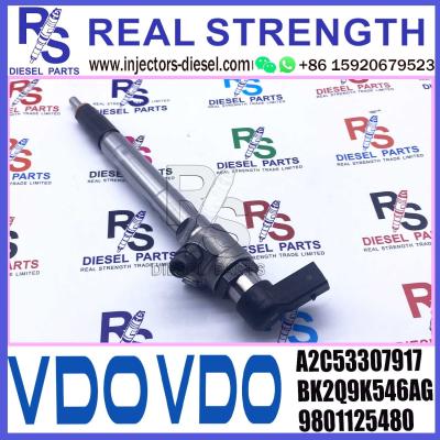 China A2C53307917 VDO Diesel Fuel Injector 5WS40745 2.2HDi For Peugeot Citroen Ford for sale