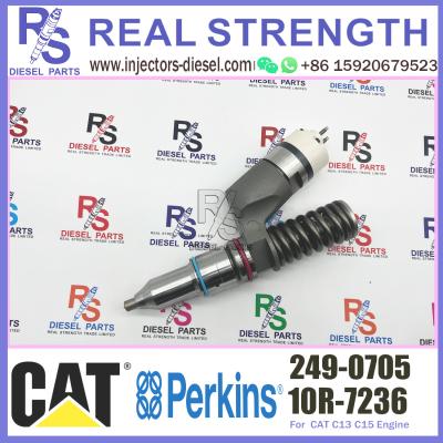 China Carril común Perkins Diesel Injector 253-0616 253-0618 249-0705 para CAT Excavator en venta