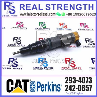 China Diesel Pump Injector 387-9432 10R-7223 387-9431 293-4073 For Caterpillar C9 Diesel Engin Common Rail for sale