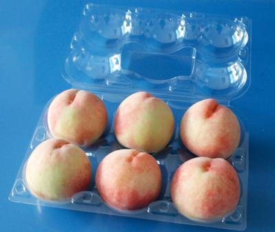 China Manufactury Disposable plastic fruit packaging punnets Food trade material PET plastic food packaging box for sale
