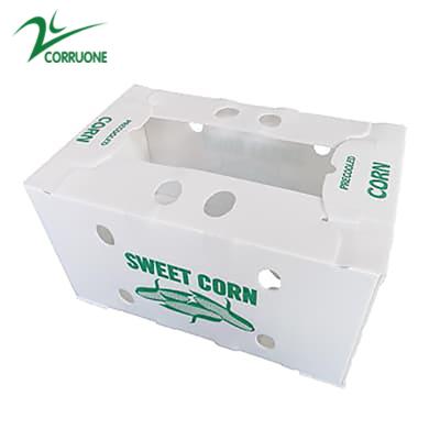 China Correx Fruit Box PP Corrugated Plastic Box For Vegetable  And Agriculture Packing Box à venda