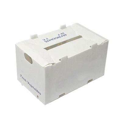 Китай Correx Fruit Box PP Corrugated Plastic Box For Vegetable  And Agriculture Packing Box продается
