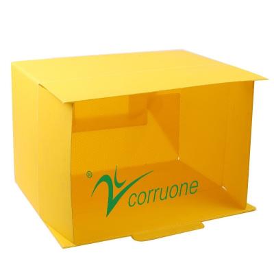 China Customizable Vegetable Corrugated Boxes Versatile  Eco-Friendly for sale