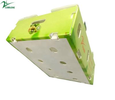 China Customizable Vegetable Corrugated Boxes for Your Business Needs for sale