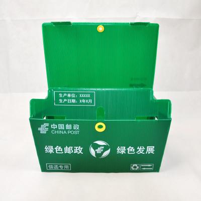 China Asparagus PP Corrugated Box Correx Corrugated Polypropylene Boxes for sale