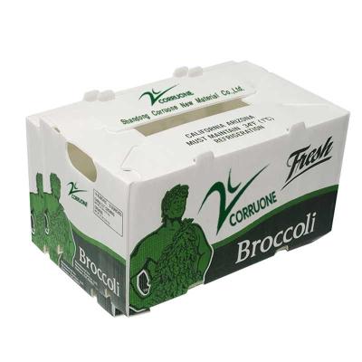 중국 Customized Fruit and Vegetable Packaging Corrugated Plastic Box Corrugated Storage PP Packing Boxes 판매용