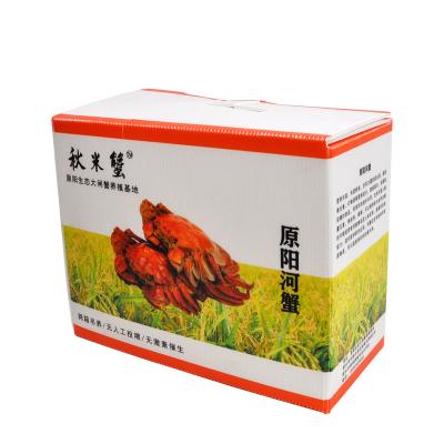 Chine Corruone Collapsible PP Corrugated Plastic Danpla Box Polypropylene Plastic Sheet Crates Corrugated Storage box à vendre
