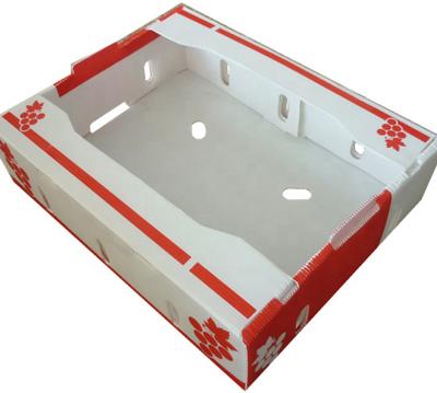 중국 시금치 파형 플라스틱은 박스 2 밀리미터 코르프루테 스토리지 박스를 생산합니다 판매용