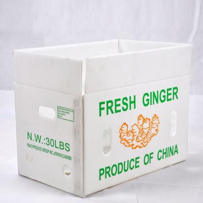China Custom Asparagus PP Corrugated Box Correx Corrugated Plastic Delivery Box for sale