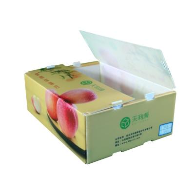 China Envase acanalado de Corflute de la categoría alimenticia de la caja de Twinwall PP para las legumbres de frutas en venta