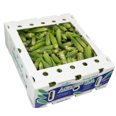 China Glossy 10mm 12mm Corrugated Plastic Packaging Boxes With Lid for sale