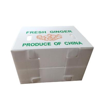 Китай Коробка имбиря Корфлейт OEM свежая складывая рифленую пластиковую коробку продается