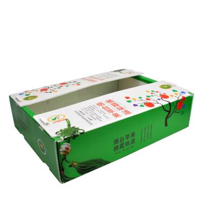Китай Коробки полипропилена OEM коробки рифленого листа PP брокколи рифленые продается