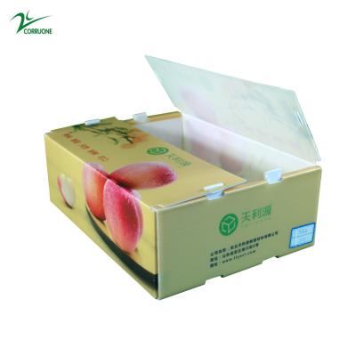 China PP/PE  plastic box for Fruits and vegetables à venda