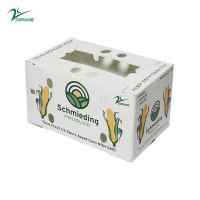 Китай Corruone Waterproof Folding Polypropylene  Corrugated Plastic Fruits Vegetables Asparagus/Ginger/Taro/Okra Packing box продается