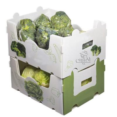 China Fruit Corrugated Plastic Packaging Broccoli PP Corrugated Sheet Box for sale