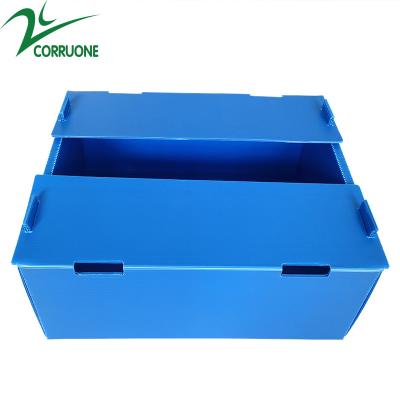 China Corruone Hot Sale Customized waterproof foldable PP polypropylene sheet Material Vegetable Fruit Packaging and delivery Boxes à venda