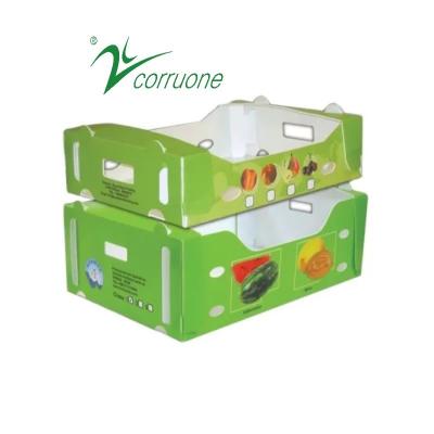 China Corruone PP polypropylene danpla plastic box Correx protection board polyflute sheets corrugated plastic packaging boxes en venta