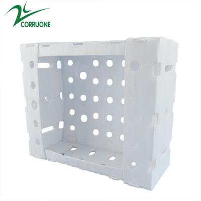 China Corflute PP Seafood Delivery Box Blue Coroplast Storage Boxes for sale