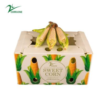 China Sweet Corn Fruit Corrugated Boxes Banana Correx Packaging Boxes for sale