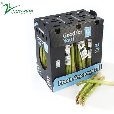 China Asparagus Corrugated Plastic Produce Boxes Food Grade Black White for sale