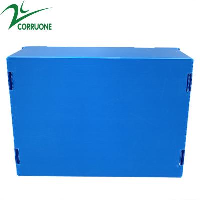 China Wholesale Reusable Stackable Pp Corrugated Plastic Packaging Fruit And Vegetable Box for sale