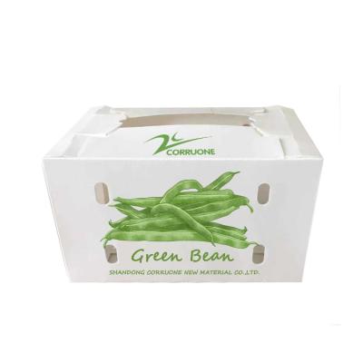 China Black Corriflute Fruit Corrugated Boxes Corrugated Plastic Storage Containers for sale