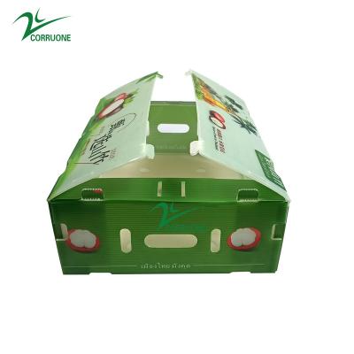 China Mangosteen PP Corrugated Box Glossy Apple Coroplast Box Customized for sale