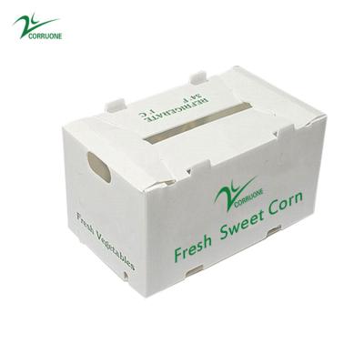 China OEM Factory Produce PP Plastic Corrugated Box For   Fresh Sweet Corn  Broccoli Eggplant Ginger  Box à venda