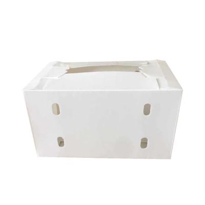 China foldable waterproof Fluted Polypropylene Correx Storage Box PP fresh fruit  packing delivery box container for sale