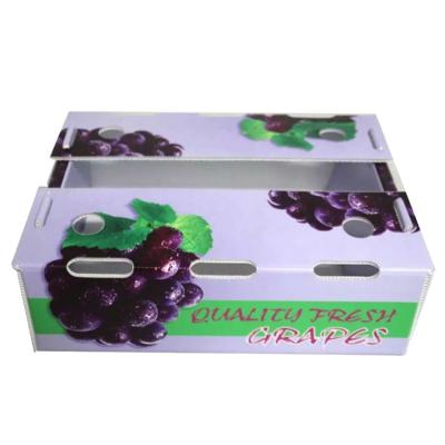 中国 高性能の果物波紋箱 農業産業の最適パッケージング 販売のため