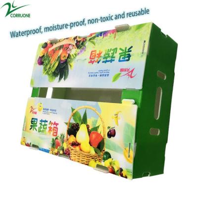 China Hot Selling PP Foldable Water-proof Corrugated Plastic Box For Agriculture Packing Box for sale