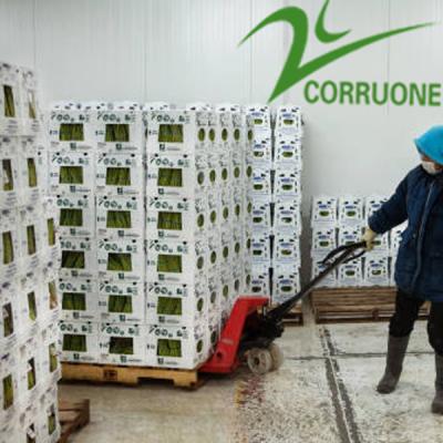 China Schwarzes Corriflute tragen gewölbte Kästen runzelte Plastikvorratsbehälter Früchte zu verkaufen