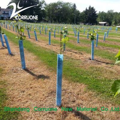 China Protector de árvores de plástico corrugado de PP flexível e impermeável para árvores à venda