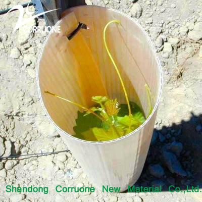 China Tubo de árbol de plástico ondulado ecológico reciclable y personalizable para la plantación sostenible en venta