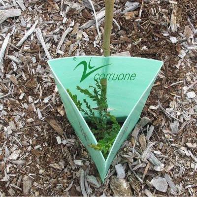 China Protector de árboles de plástico corrugado de superficie plana en color personalizado para protección de plantas en venta