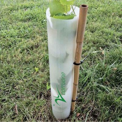 China Reusable Corrugated Plastic Seedling Protection Sleeve with Customized Colour for sale
