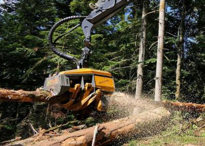 China Granas cosechadoras de árboles Excavadora Cortadora de árboles para explotaciones forestales en venta