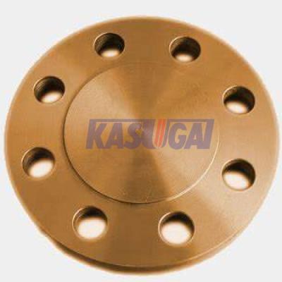 China BL Flat Face Blind Flange ASTM B151 C71500 Copper Nickel Pipe Fittings for sale