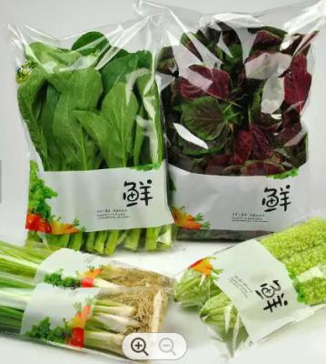 China Micro plástico de las verduras perforada empaqueta la prenda impermeable amistosa de Eco en venta