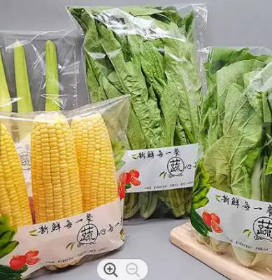 China El micrófono de la comida perforó las bolsas de plástico que empaquetaban las bolsas de plástico vegetales en venta