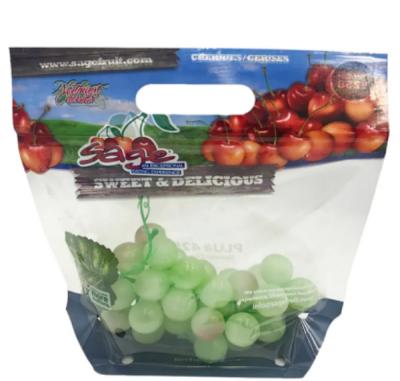 China Wiederverwendbare Frucht-Verpackung sackt transparente Trauben-Kunststoffgehäuse-Tasche mit Reißverschluss ein zu verkaufen