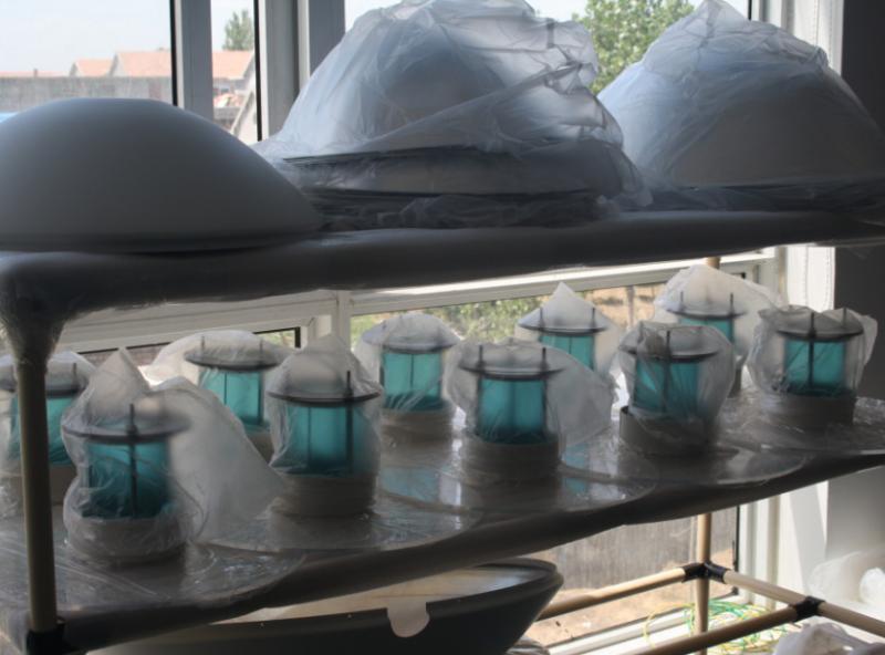 Verified China supplier - Shandong Green Medical Equipment Co., Ltd
