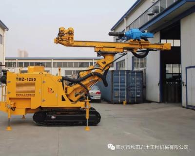 China Narrow Spaces Applicable Drilling And Micropile Drill Rig TMZ - 1250 for sale