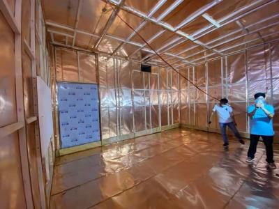 中国 GE Shielding Mri Equipment Room With Copper Foil Panel RF Cage Installation 販売のため