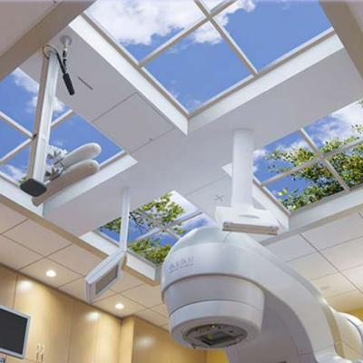 China Nature Art Mri Led Lighting Film Ceiling Diagnostic Radiology en venta