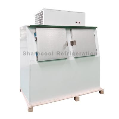 China 110V 60Hz Outdoor Cold Wall Ice Merchandiser Bagged Ice Storage Freezer for sale