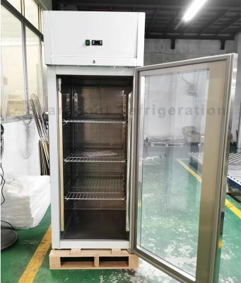China controlador de temperatura ereto de Digitas do refrigerador da baixa E porta de vidro de 110V 60Hz à venda